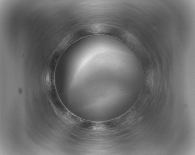 X0000066520214200603171227