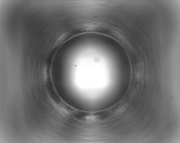 X0000066520216200603171226