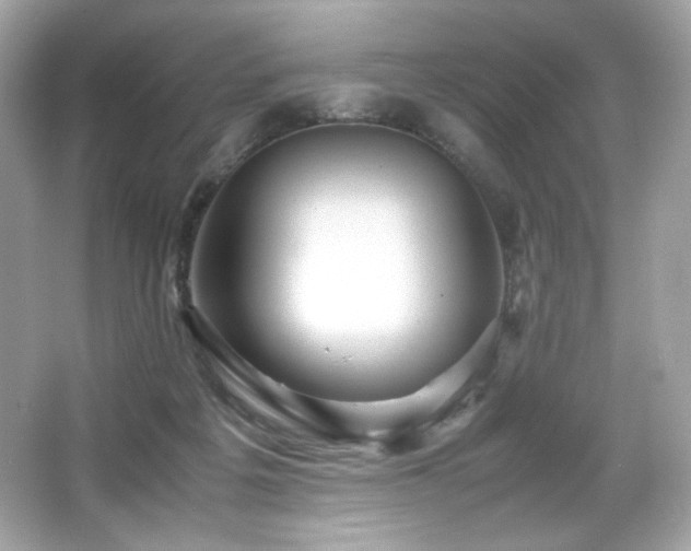 X0000066520217200603171226