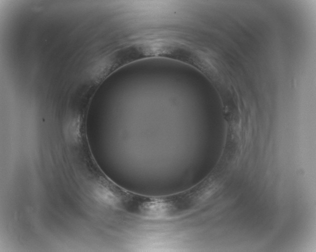 X0000066520219200603171226