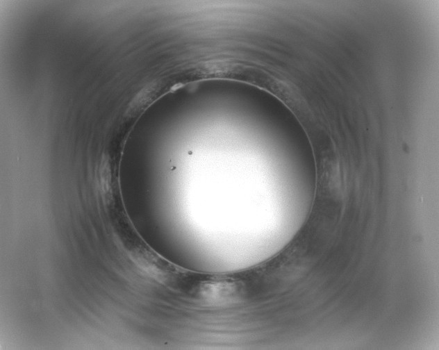 X0000066520220200603171226