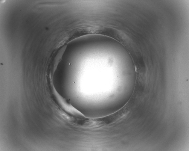 X0000066520221200603171226