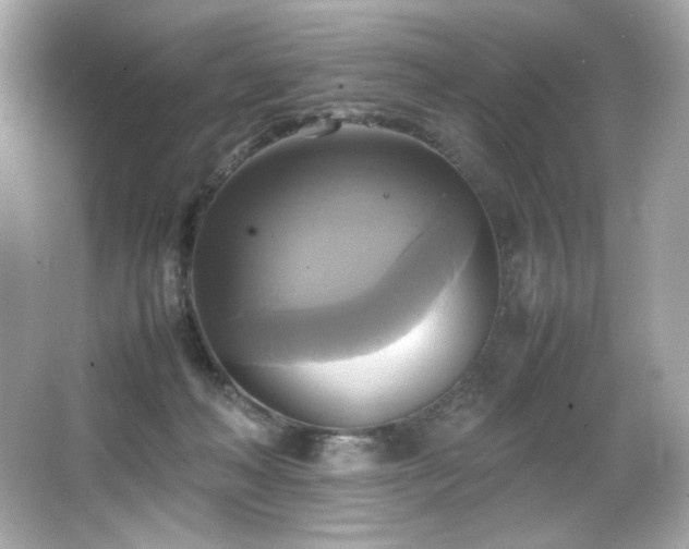 X0000066520222200603171226