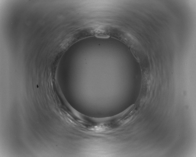 X0000066520223200603171226