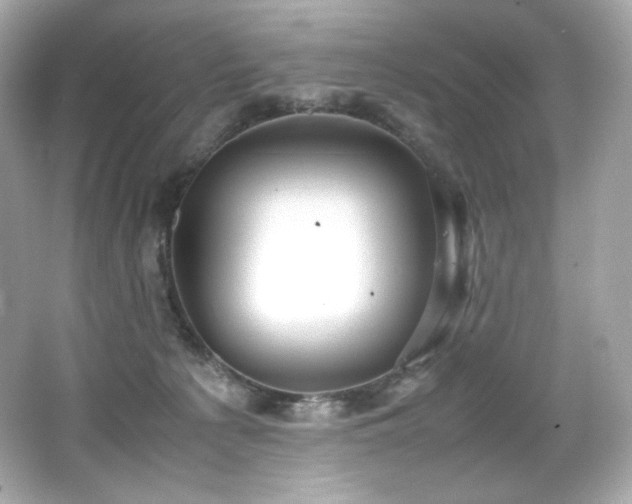 X0000066520225200603171226