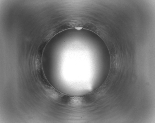 X0000066520226200603171226