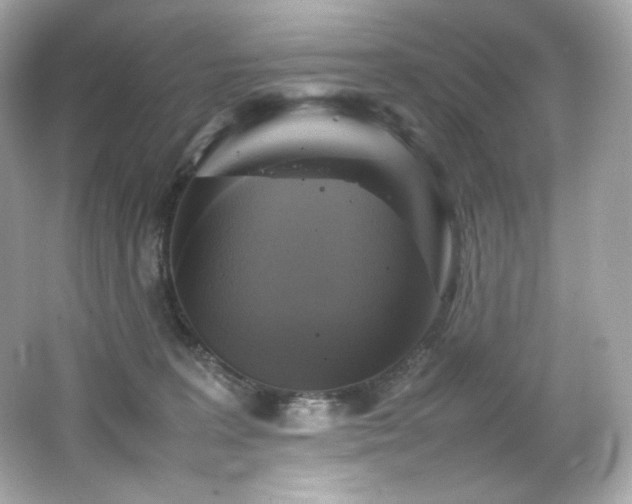 X0000066520227200603171226