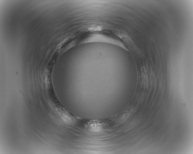 X0000066520228200603171226