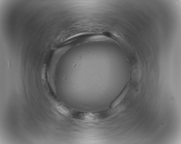 X0000066520229200603171226