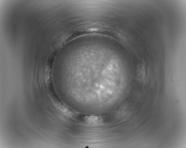 X0000066520230200603171226