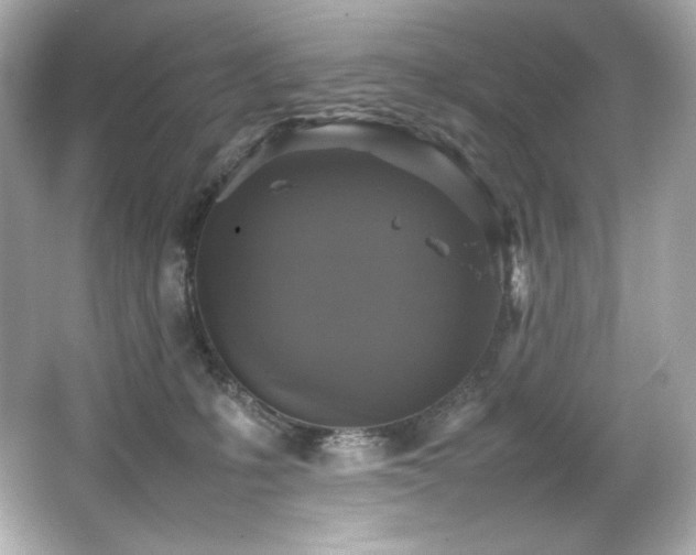 X0000066520231200603171226