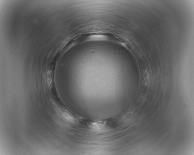 X0000066520232200603171226