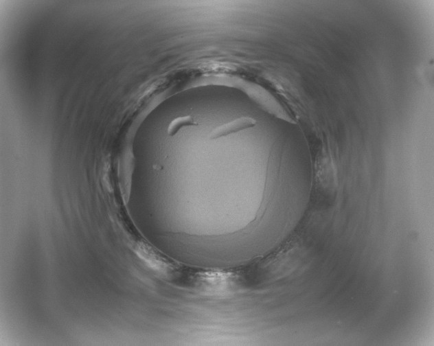 X0000066520233200603171226