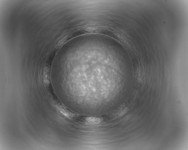 X0000066520234200603171226