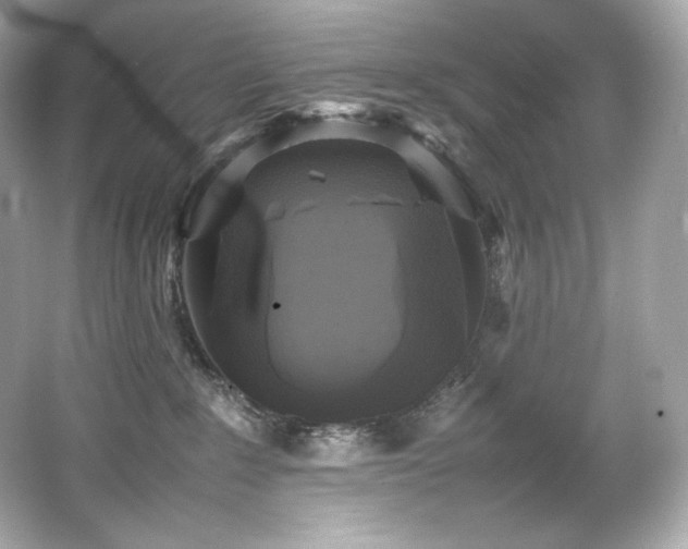 X0000066520235200603171226