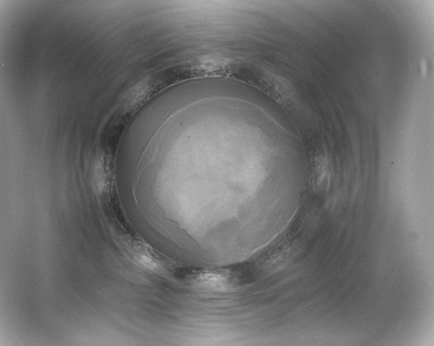 X0000066520236200603171226