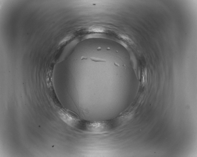 X0000066520237200603171226