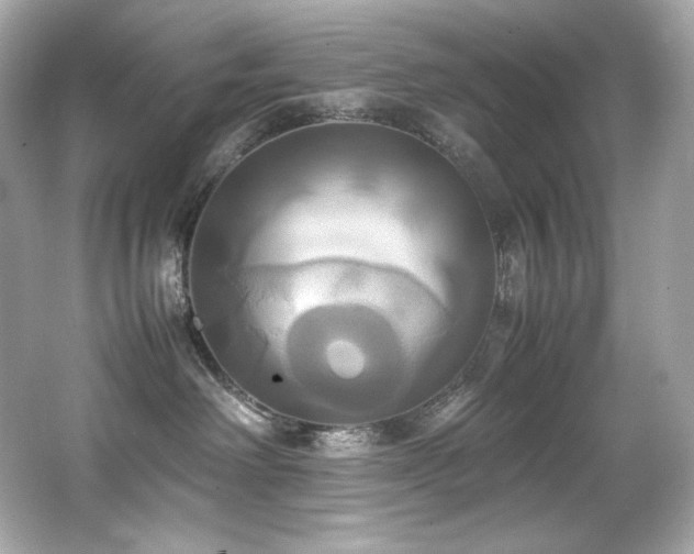 X0000066520238200603171226