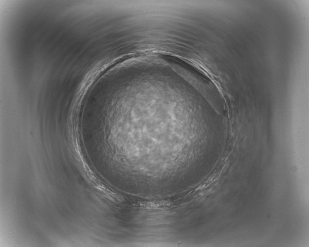 X0000066520241200603171225