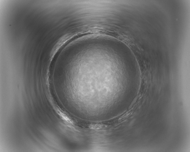 X0000066520242200603171225