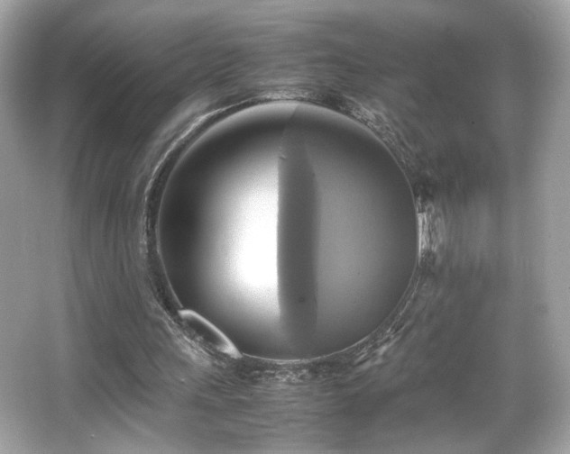 X0000066520243200603171225