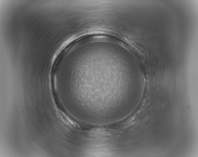 X0000066520244200603171225