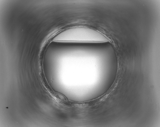 X0000066520245200603171225