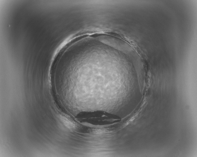 X0000066520246200603171225