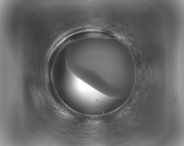 X0000066520247200603171225