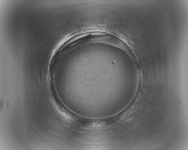 X0000066520248200603171225