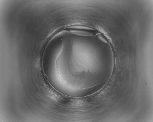 X0000066520249200603171225