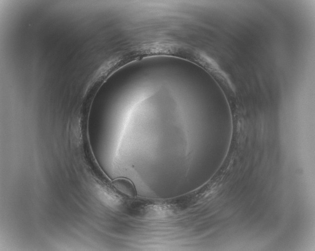 X0000066520250200603171225