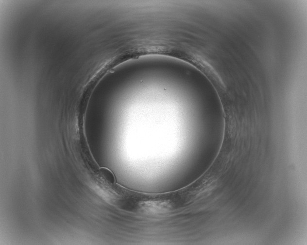 X0000066520251200603171225