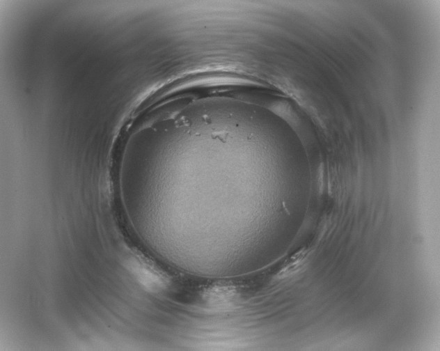 X0000066520252200603171225