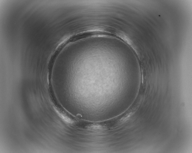 X0000066520253200603171225