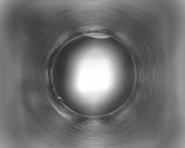 X0000066520254200603171225