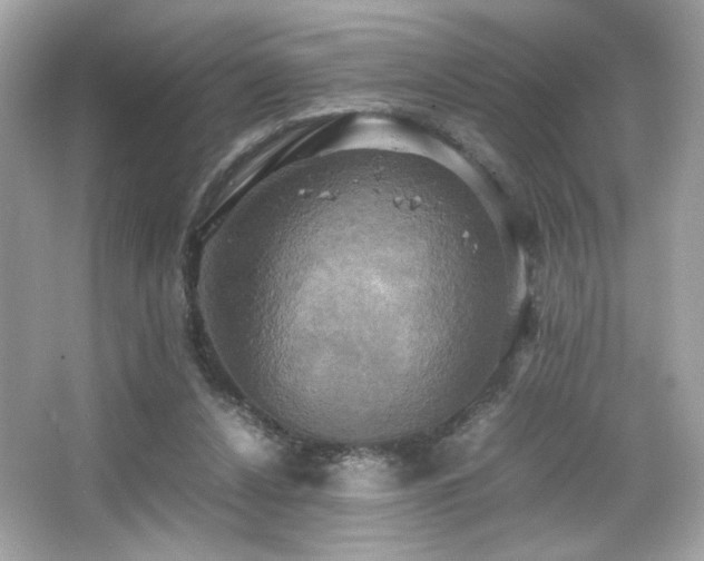 X0000066520256200603171226