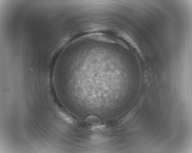 X0000066520257200603171226