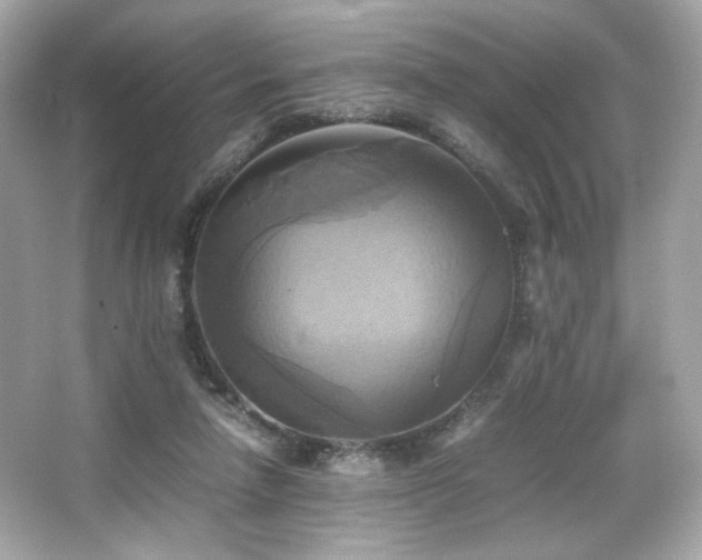 X0000066520258200603171226