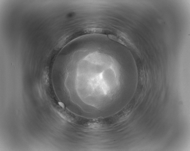 X0000066520259200603171226