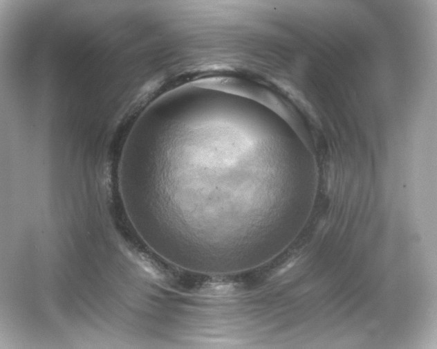 X0000066520260200603171226