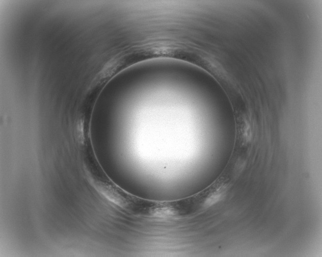 X0000066520262200603171226