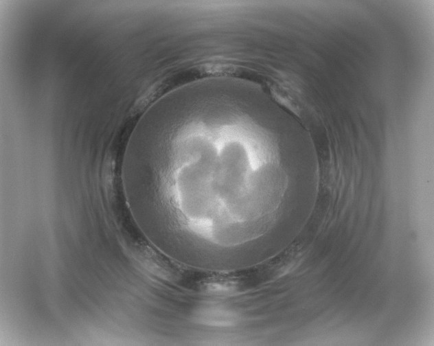 X0000066520263200603171226