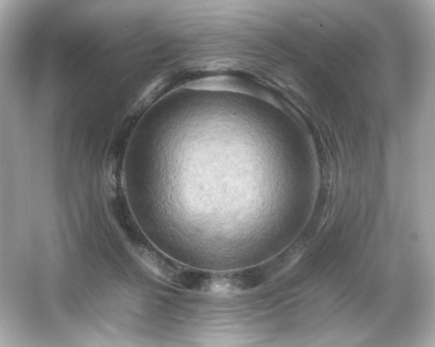 X0000066520264200603171226