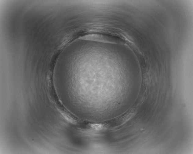 X0000066520265200603171226