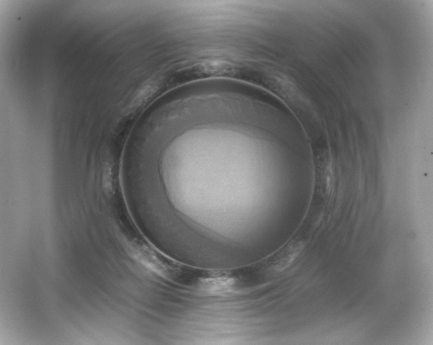 X0000066520266200603171226