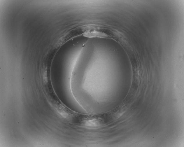 X0000066520267200603171226