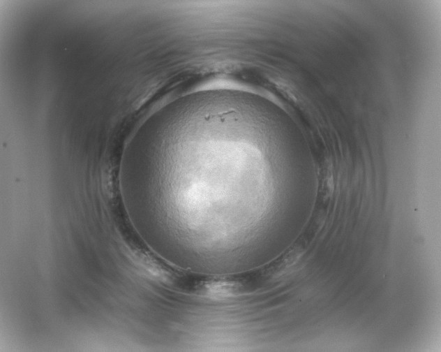 X0000066520268200603171226