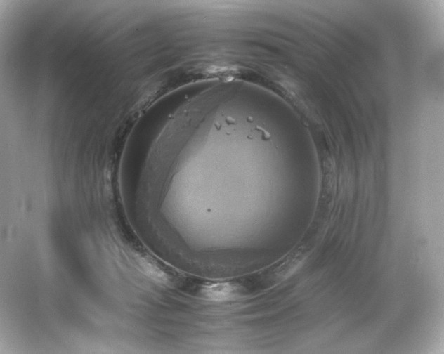 X0000066520269200603171226