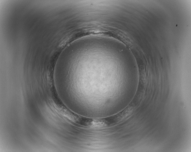 X0000066520270200603171226